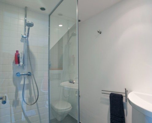 Ensuite bathroom shower