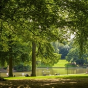 Lake at bois de la cambre