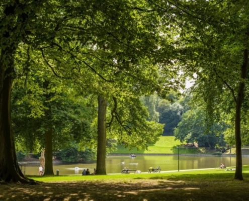 Lake at bois de la cambre