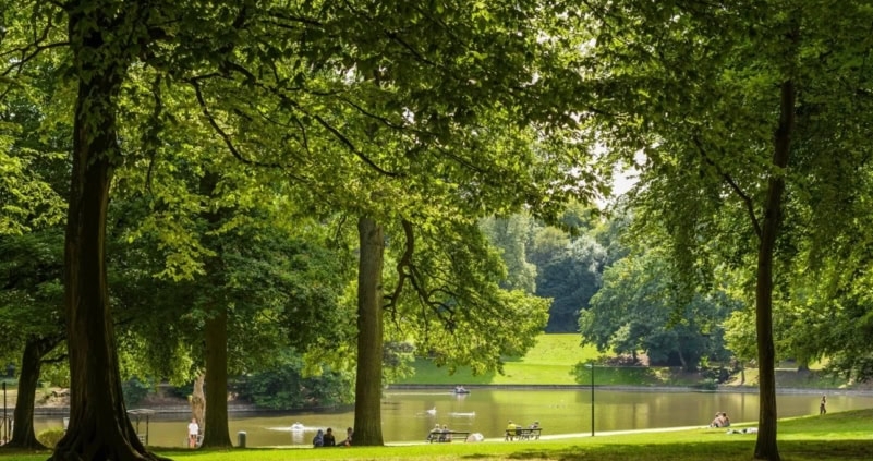 Lake at bois de la cambre